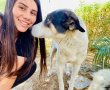 מלאך מקומי: לידור בר און מצילה עשרות כלבים אומללים שהושלכו לזבל 