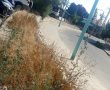 הזנחה ברחוב שטרית: "נפלתי ברחוב כמה פעמים. למה לא מטפלים בזה?"