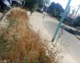 "ברחוב שלנו יש זבל כל הזמן והכל מוזנח". צילום פרטי