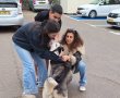 צפו: לאחר שנגנב לפזורה הבדואית - הכלב סקאי הוחזר בשלום למשפחתו בבאר שבע