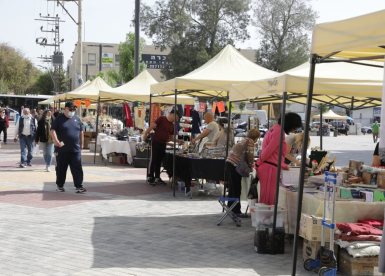 אילוסטרציה, למצולמים אין קשר לנאמר בכתבה. קרדיט: קק''ל