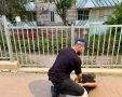 קרדיט: משטרת ישראל