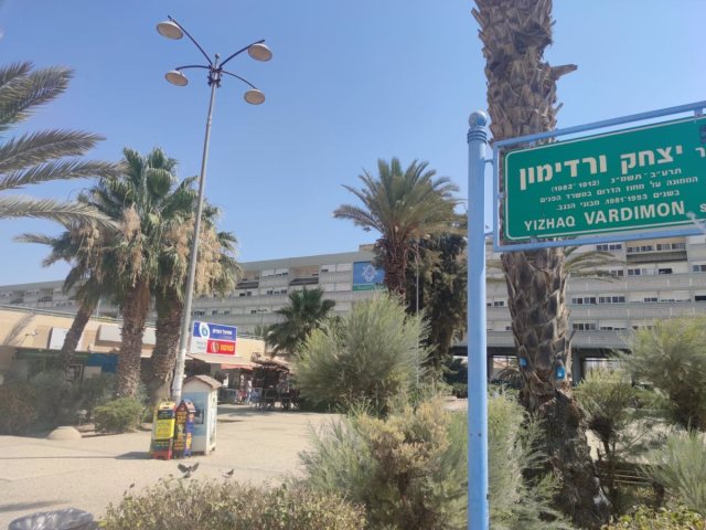 צילום: סתיו ליבנה