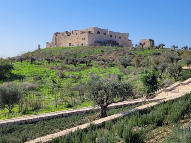 גן לאומי מגדל צדק צילום יניב כהן רשות הטבע והגנים