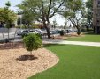משדרגים את גינות המבנים. צילום באדיבות עיריית באר שבע