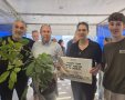 שתיל לזכרו של רן גואילי ז"ל. צילום: חיבורים בחקלאות 