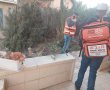 בת 88 מלהבים במצב בינוני בעקבות עקיצת עקרב