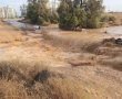 נחל באר שבע גועש: כבישים נחסמו בסמוך לקריית יהודית לאחר לילה סוער במיוחד