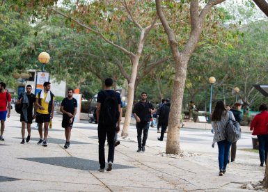 קרדיט צילום: דני מכליס