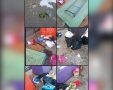קרדיט: תוכן גולשים ע"פ סעיף 27א'