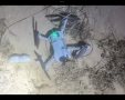 קרדיט: שב''ס