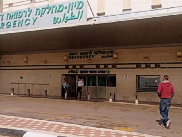 צילום ארכיון: בן שיף