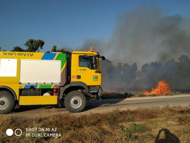 צילום משה ברוכי יערן קק"ל
