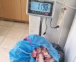 מעבר מיתר: צעירים מאזור ב"ש ניסו להבריח 120 ק"ג בשר ונתפסו 
