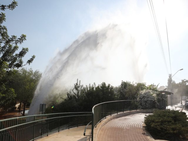 זאב דיקמן