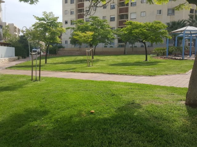 צילום באדיבות עיריית באר שבע 