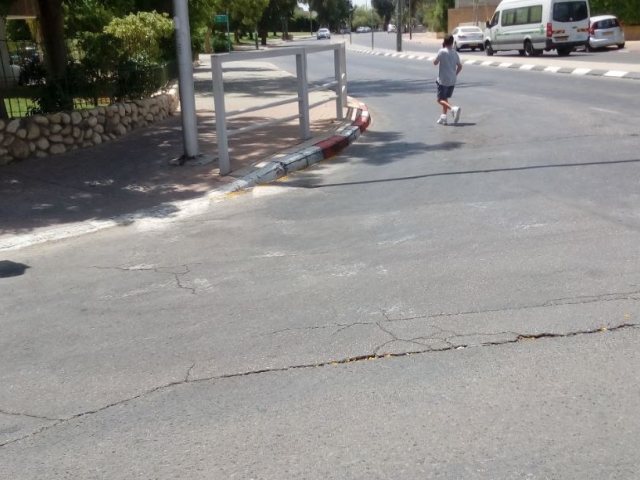 צילום: אור ירוק