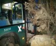 רמת שרת: אוטובוס התנגש בקיר- 29 פצועים 