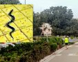 נחש בשכונת רמות. פתן שחור. צילום: שרון טל