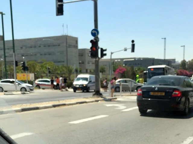 צילום: נווה סגל