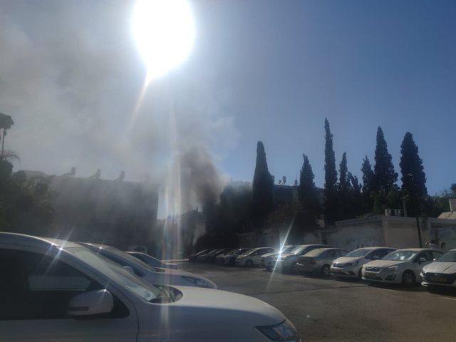 צילום: סתיו ליבנה