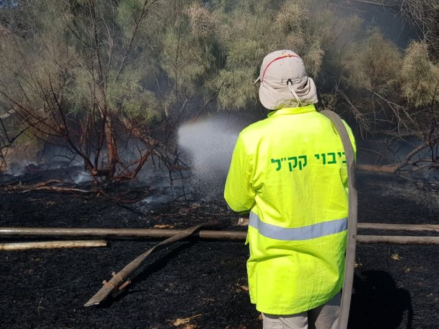 צילום דני בן דוד יערן קק"ל