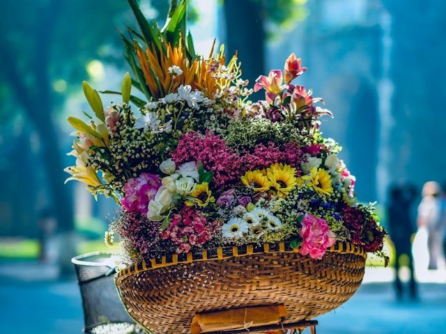 קרדיט-Photo by Hai Tran on Unsplash