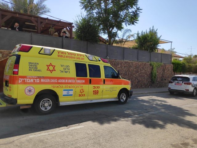 צילום: זק"א