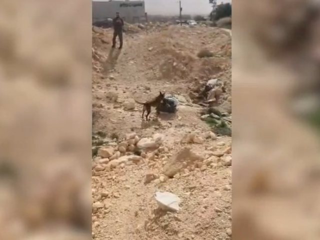 קרדיט: משטרת ישראל