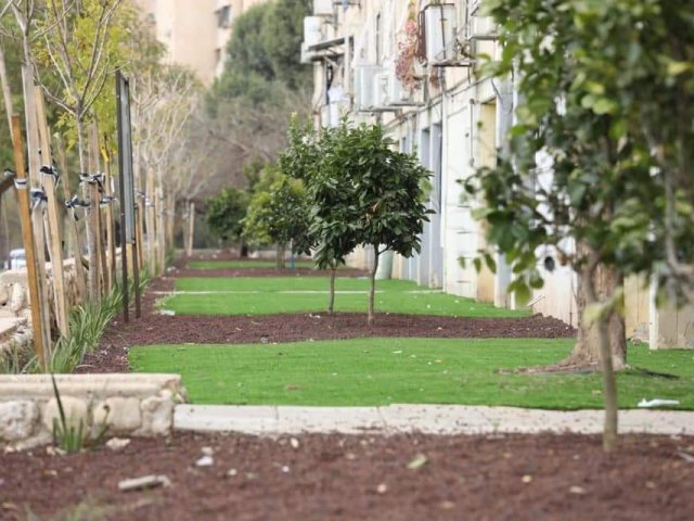 באדיבות העירייה, פרוייקט "אצלנו בחצר"
