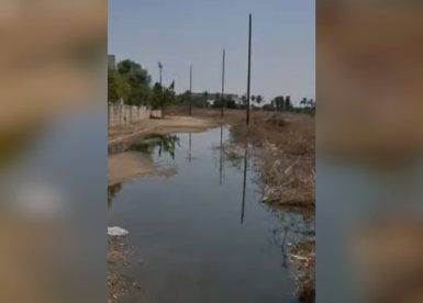 קרדיט: תוכן גולשים ע"פ סעיף 27א'