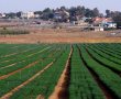 בשורה ענקית למושבי הנגב: אושר המתווה ההיסטורי להסדרת 120 אלף דונם