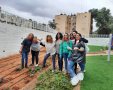 יחידת הכספים מקימה גינה בהוסטל בית אבישי בעיר. קרדיט - כללית