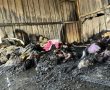 אירוע מחריד בנגב: פעוט בן שנה וחצי נשרף למוות, אחותו נפצעה קשה