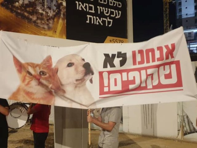צילום: תשע נשמות
