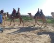 ילדי משפחתון דימונה בטיול גמלים בבארותיים צילום באדיבות עמותת יחדיו