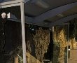 מה קורה שם? שלוש תחנות נופצו והושחתו בשבת (וידאו)