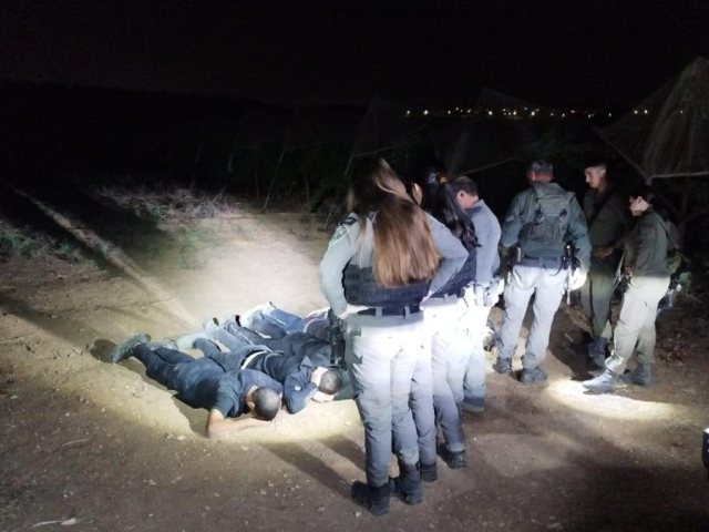 קרדיט: משטרת ישראל