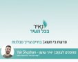 יאיר שושן 