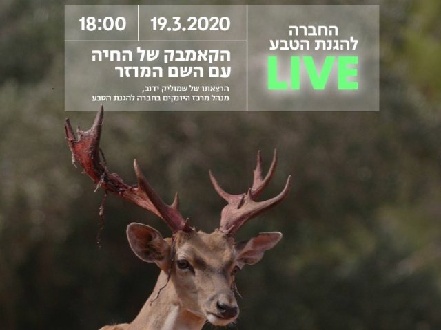 LIVE החברה להגנת הטבע אל תפספס! 