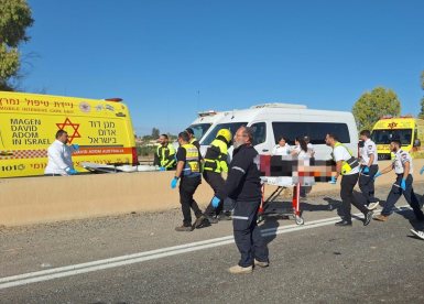 קרדיט: מד"א