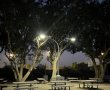 הילד החליק לתעלה עם אופניו ונפצע בינוני