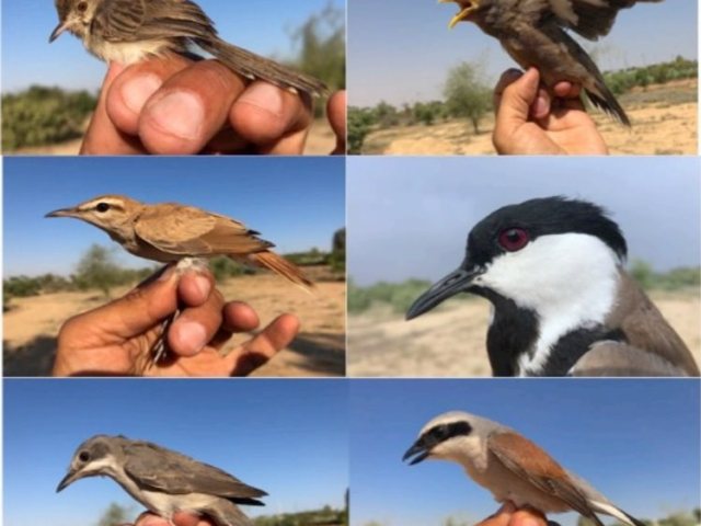 צילום: אייל שוחט