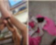 אירוע חריג בגן בנווה זאב: ''הילדה שלי עשתה צרכים על עצמה ונשארה ככה שעות" (תמונות קשות)