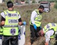 קרדיט: זק"א