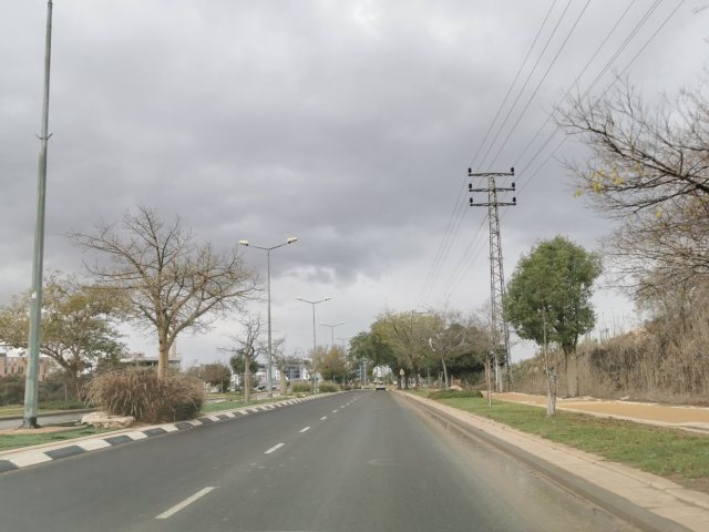 צילום: נועה גבאי 