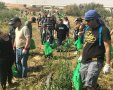 עובדי חברת אולסקריפטס מנקים את נחל באר שבע. קרדיט קקל