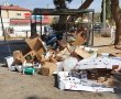 מחסור בפחים והררי זבל: עובדי מרכז ויצ"ו טוענים להזנחה מצד עיריית באר שבע