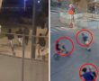 חשד בבת ים: נערות בנות 14 ו-16 הקימו כנופיית פשע ותקפו קטינים בפארק