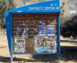 לקראת מצעד הגאווה במצפה רמון: פוסטרים הושחתו ודגלים נתלשו מבתים פרטיים